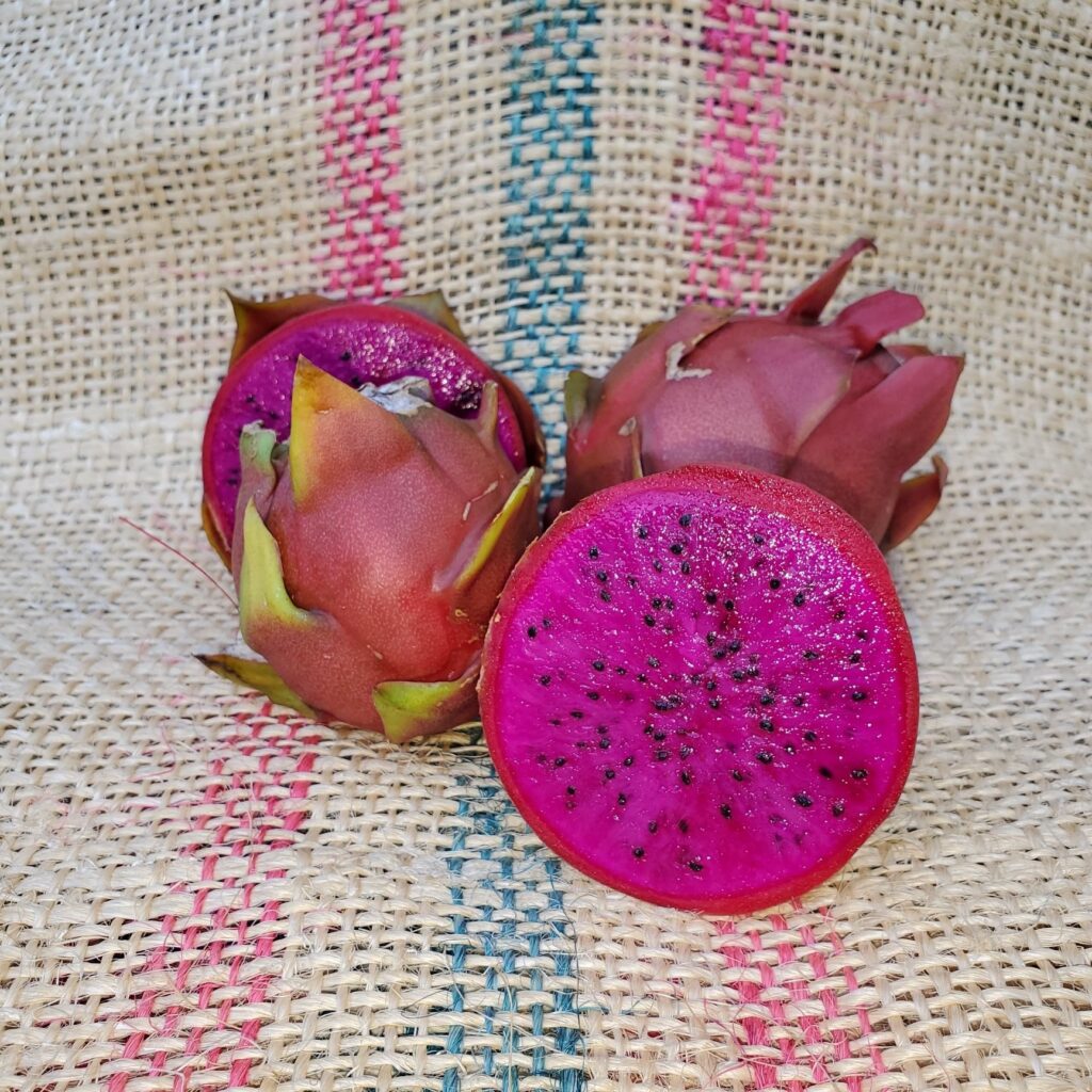 pitahaya American Beauty