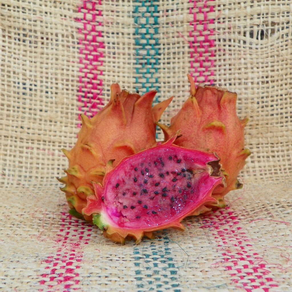 pitaya Frankies fruto