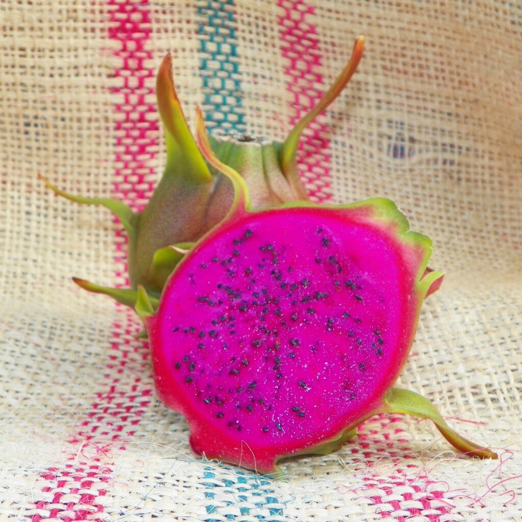 Pitaya condor