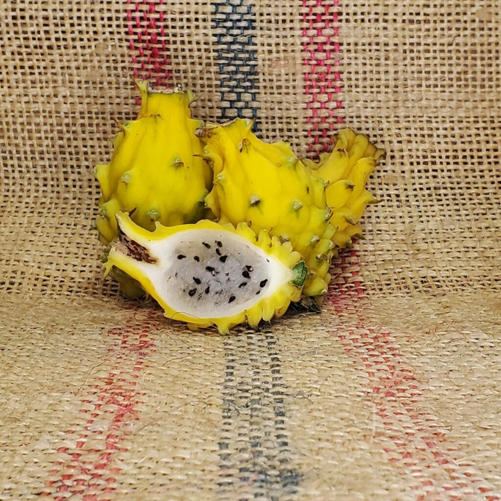 Pitaya Yellow Dragon fruto