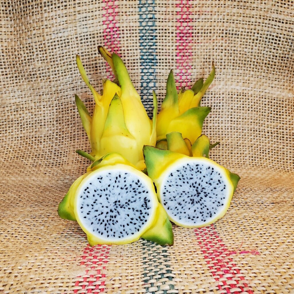 pitaya isis fruit